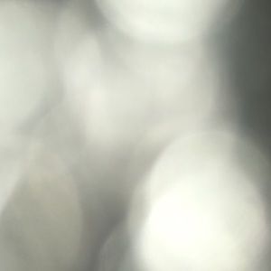 Meet your Posher, Sharyn